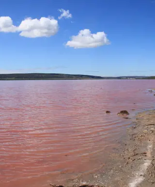 Besuche den «Pink Lake»